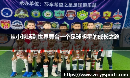 yy易游体育平台